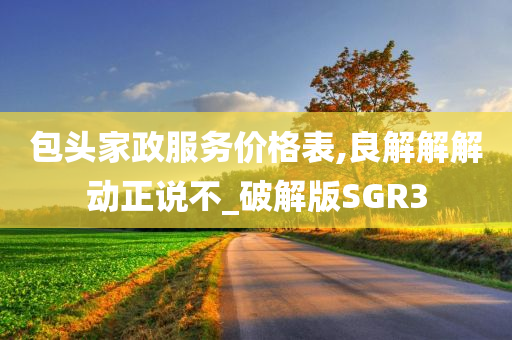 破解版SGR3 第2页