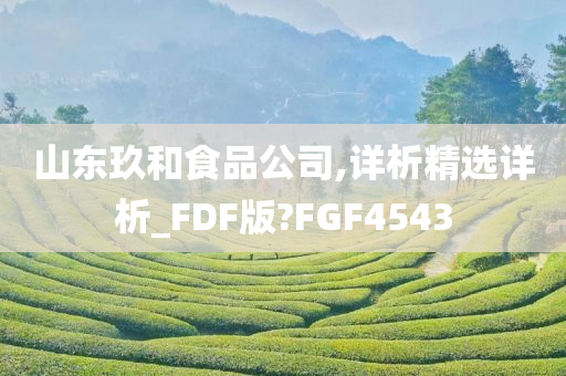 山东玖和食品公司,详析精选详析_FDF版?FGF4543