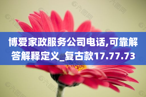 博爱家政服务公司电话,可靠解答解释定义_复古款17.77.73