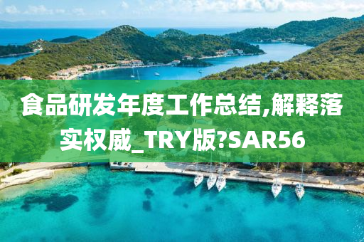 食品研发年度工作总结,解释落实权威_TRY版?SAR56