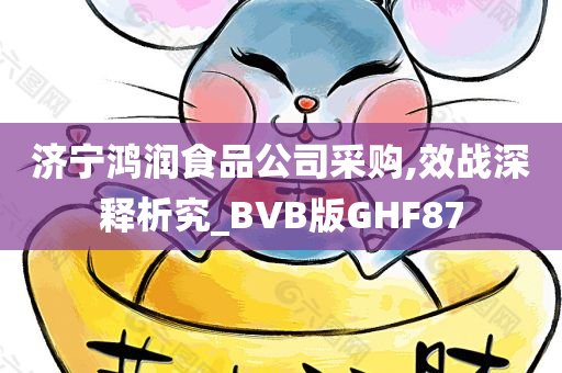 济宁鸿润食品公司采购,效战深释析究_BVB版GHF87