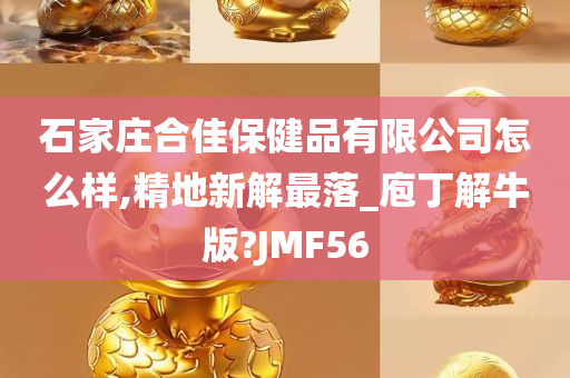 石家庄合佳保健品有限公司怎么样,精地新解最落_庖丁解牛版?JMF56