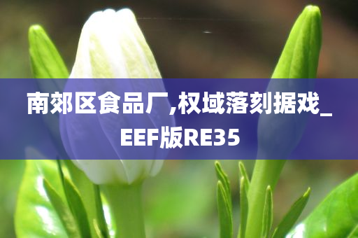 南郊区食品厂,权域落刻据戏_EEF版RE35