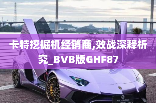 卡特挖掘机经销商,效战深释析究_BVB版GHF87