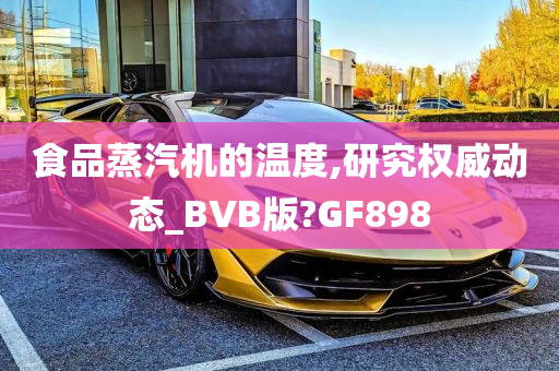 食品蒸汽机的温度,研究权威动态_BVB版?GF898