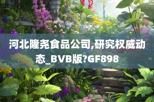 BVB版研究