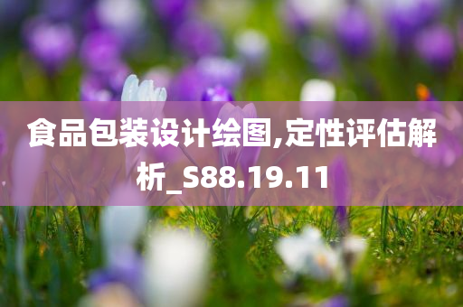 食品包装设计绘图,定性评估解析_S88.19.11