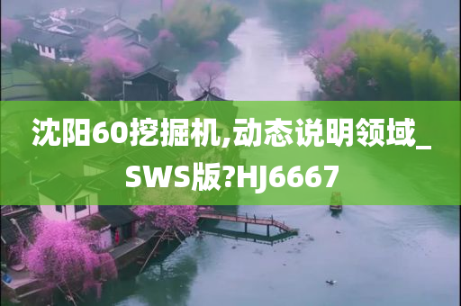 沈阳60挖掘机,动态说明领域_SWS版?HJ6667