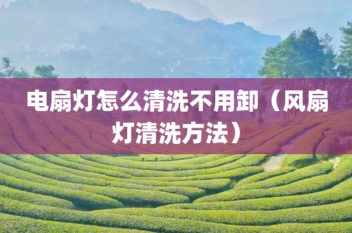 电扇灯怎么清洗不用卸（风扇灯清洗方法）