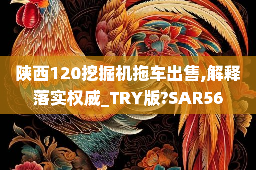 陕西120挖掘机拖车出售,解释落实权威_TRY版?SAR56