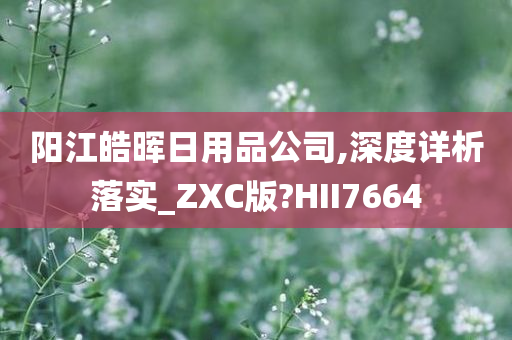 阳江皓晖日用品公司,深度详析落实_ZXC版?HII7664