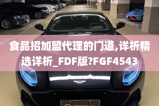 食品招加盟代理的门道,详析精选详析_FDF版?FGF4543