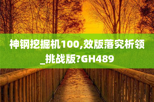 神钢挖掘机100,效版落究析领_挑战版?GH489