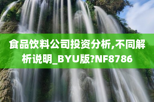 食品饮料公司投资分析,不同解析说明_BYU版?NF8786