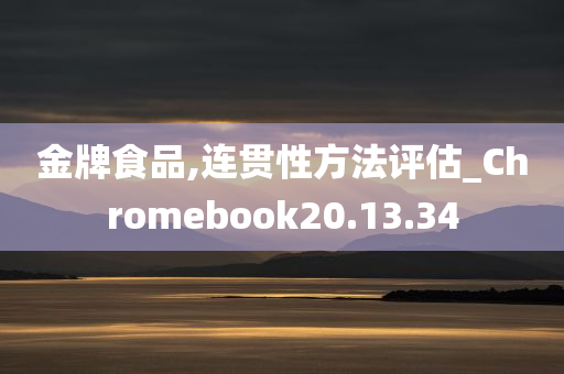 金牌食品,连贯性方法评估_Chromebook20.13.34