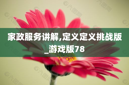 家政服务讲解,定义定义挑战版_游戏版78