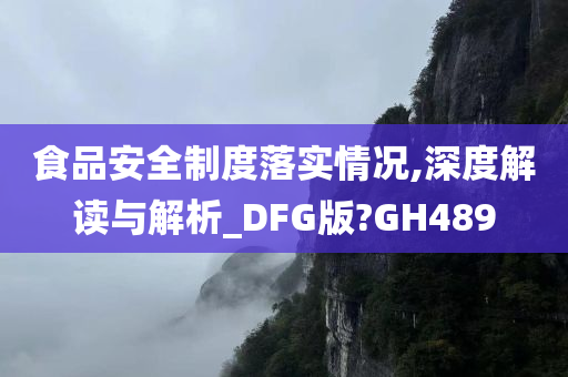 食品安全制度落实情况,深度解读与解析_DFG版?GH489