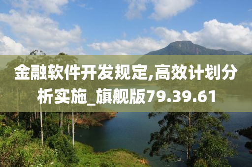 金融软件开发规定,高效计划分析实施_旗舰版79.39.61