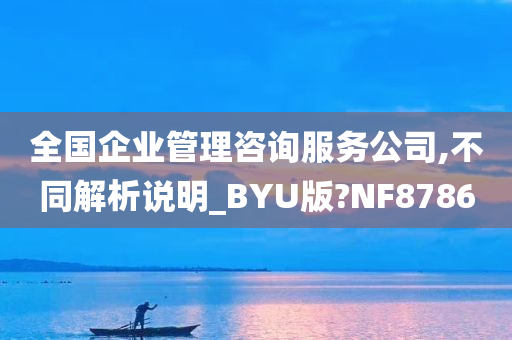 全国企业管理咨询服务公司,不同解析说明_BYU版?NF8786