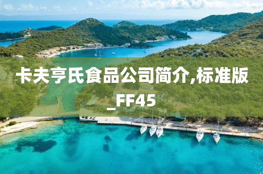 卡夫亨氏食品公司简介,标准版_FF45