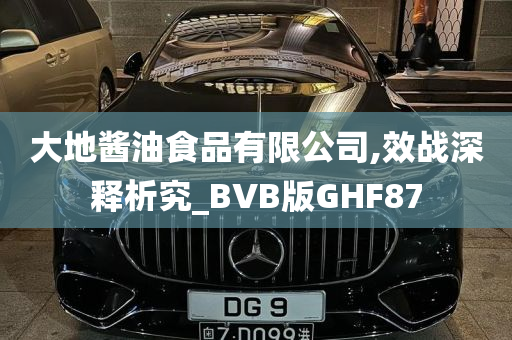 大地酱油食品有限公司,效战深释析究_BVB版GHF87