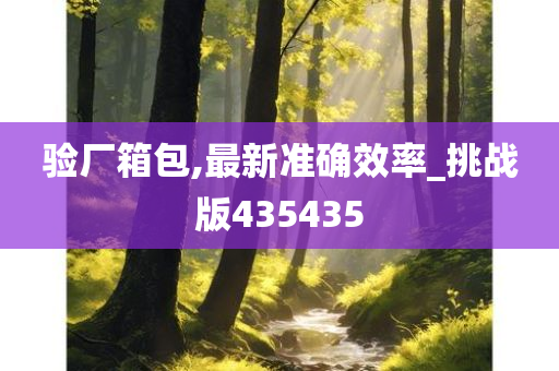 验厂箱包,最新准确效率_挑战版435435