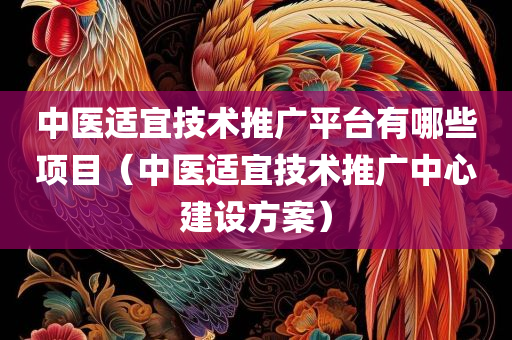 中医适宜技术推广平台有哪些项目（中医适宜技术推广中心建设方案）