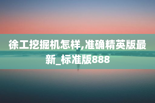 徐工挖掘机怎样,准确精英版最新_标准版888