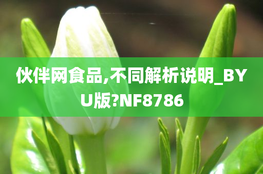 伙伴网食品,不同解析说明_BYU版?NF8786