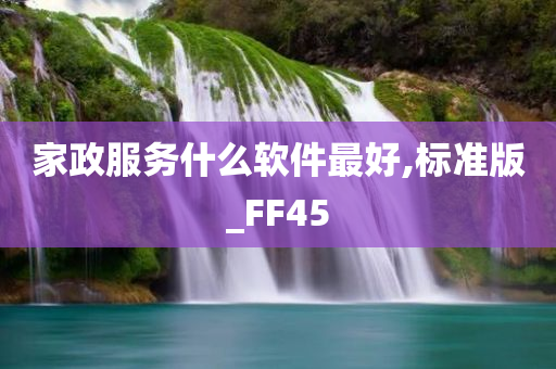 家政服务什么软件最好,标准版_FF45