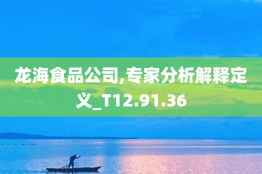 龙海食品公司,专家分析解释定义_T12.91.36