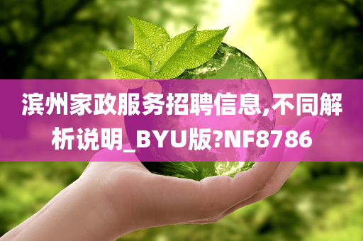 滨州家政服务招聘信息,不同解析说明_BYU版?NF8786