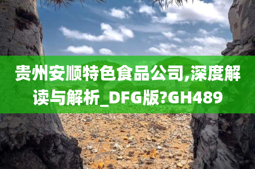 贵州安顺特色食品公司,深度解读与解析_DFG版?GH489