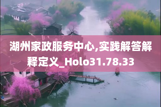 湖州家政服务中心,实践解答解释定义_Holo31.78.33