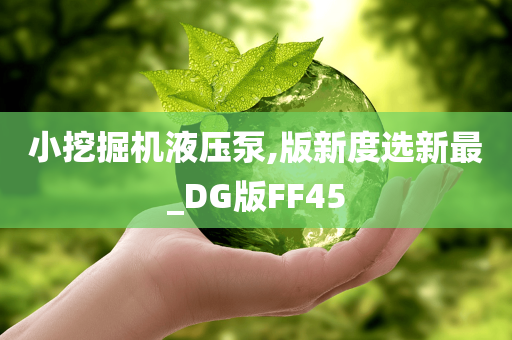 小挖掘机液压泵,版新度选新最_DG版FF45