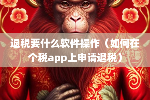 退税要什么软件操作（如何在个税app上申请退税）