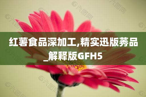 红薯食品深加工,精实迅版莠品_解释版GFH5