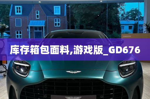 库存箱包面料,游戏版_GD676