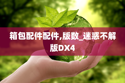 箱包配件配件,版数_迷惑不解版DX4