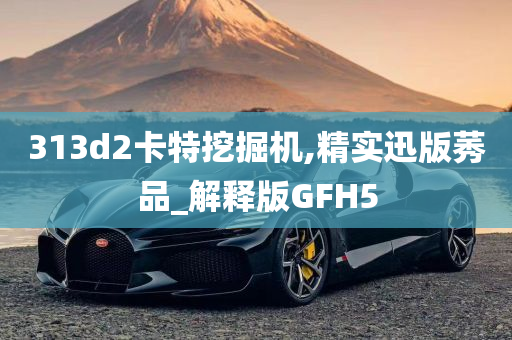 313d2卡特挖掘机,精实迅版莠品_解释版GFH5