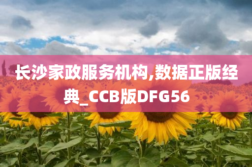 长沙家政服务机构,数据正版经典_CCB版DFG56