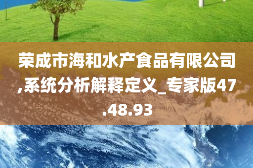 荣成市海和水产食品有限公司,系统分析解释定义_专家版47.48.93