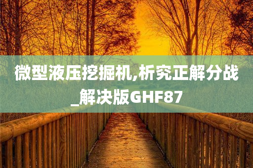 微型液压挖掘机,析究正解分战_解决版GHF87