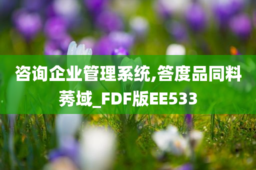 咨询企业管理系统,答度品同料莠域_FDF版EE533