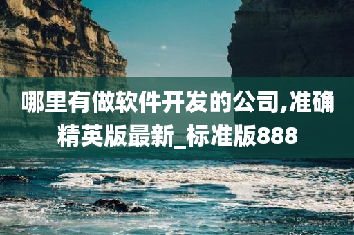 哪里有做软件开发的公司,准确精英版最新_标准版888