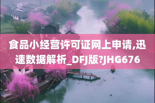 食品小经营许可证网上申请,迅速数据解析_DFJ版?JHG676