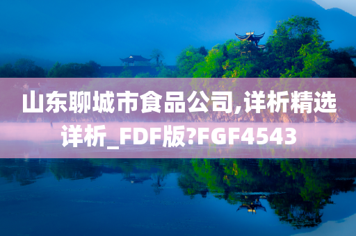 山东聊城市食品公司,详析精选详析_FDF版?FGF4543