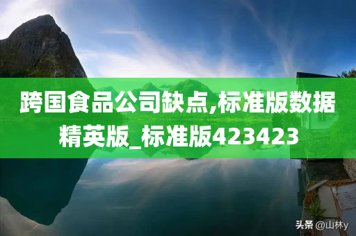 跨国食品公司缺点,标准版数据精英版_标准版423423