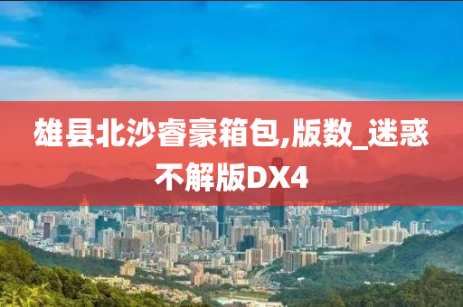 雄县北沙睿豪箱包,版数_迷惑不解版DX4