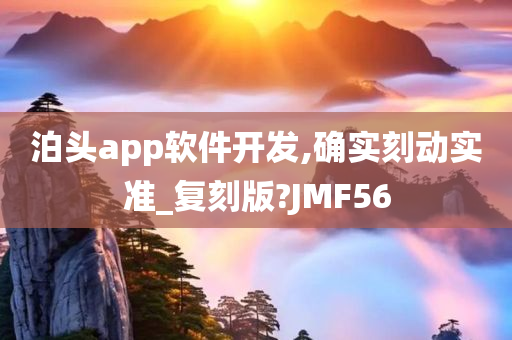 泊头app软件开发,确实刻动实准_复刻版?JMF56